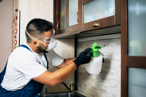 Best Residential Pest Control  in Lake Isabella, CA
