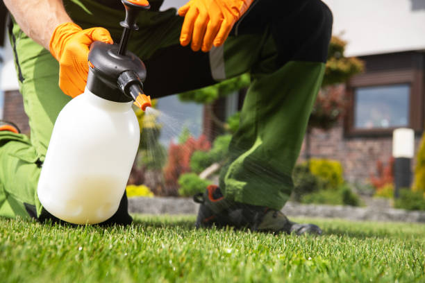 Lake Isabella, CA Pest Control Company