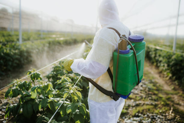 Best Wildlife Control Services  in Lake Isabella, CA